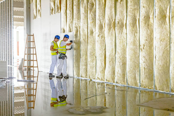 Best Insulation Maintenance and Repair in Lexico, CA